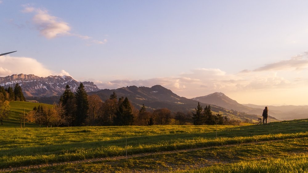 förderung photovoltaik rheinland-pfalz 2022