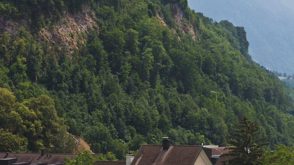 gründach photovoltaik