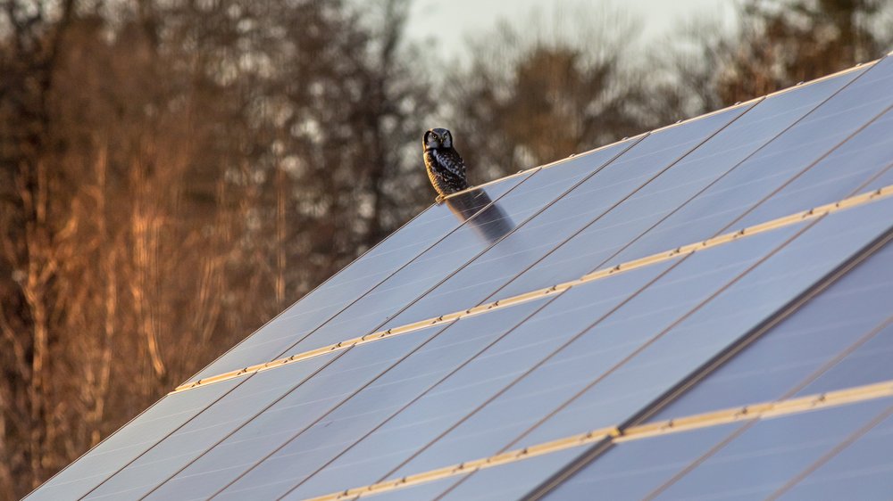 photovoltaik befestigung auf ziegeldach